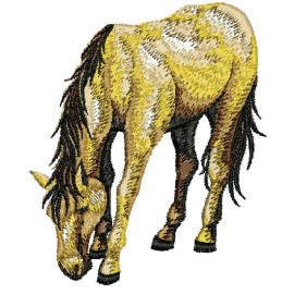 Matriz de bordado Cavalo detalhado 04