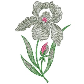 Matriz de bordado Flor Pontilhada