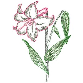 Matriz de bordado Flor Pontilhada 005