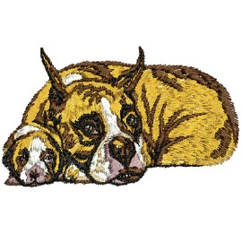 Matriz de bordado Cachorro detalhado 04